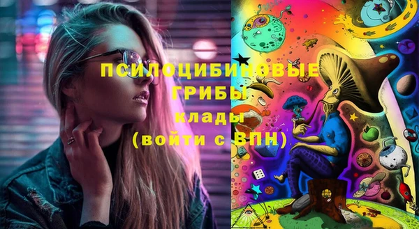бошки Осинники