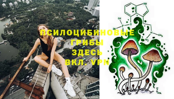прущая мука Бронницы