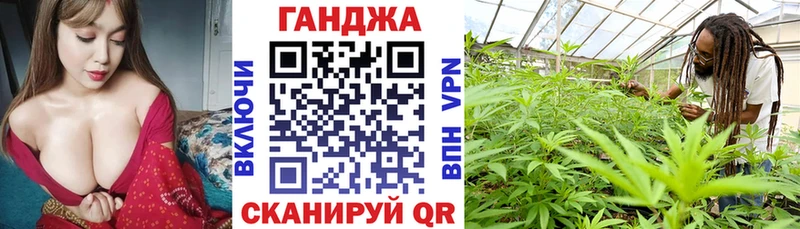 купить наркотики цена  ссылка на мегу ТОР  Марихуана SATIVA & INDICA  Торопец 